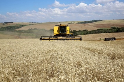 conjuntura agropecuaria 21 10 2022