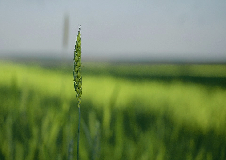 agrobit 28 10 2022
