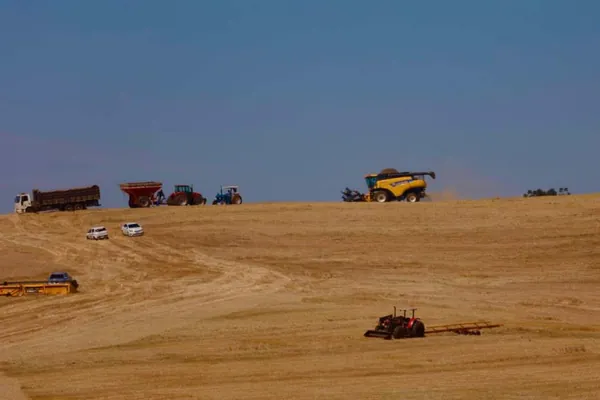 SEAB: Secretaria da Agricultura estima safra 2022/23 em 25,7 milhões de toneladas de grãos