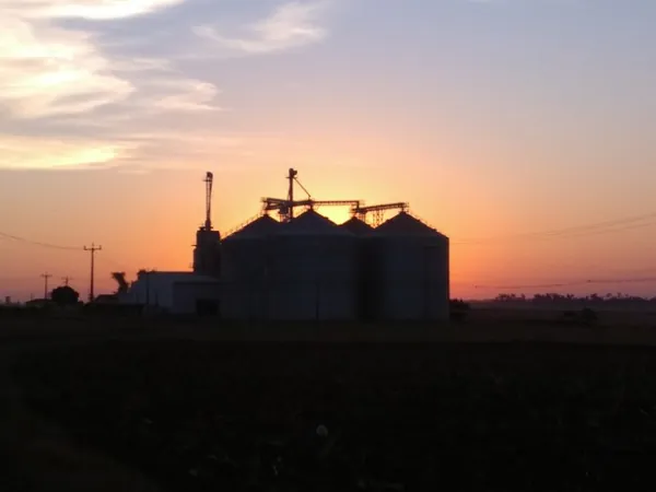 AGRICULTURA: Capacidade de armazenagem cresce 3% e chega a 188,8 milhões de toneladas no 1º semestre de 2022