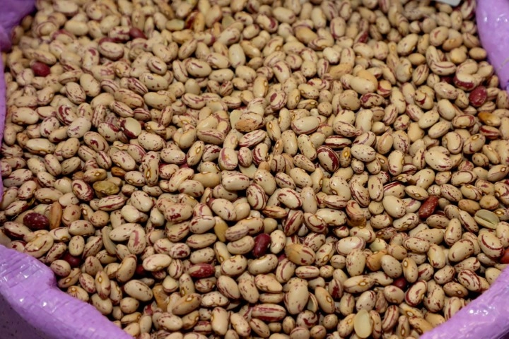 conjuntura agropecuaria 11 11 2022