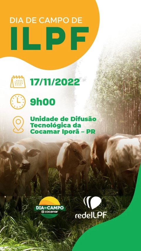 cocamar 17 11 2022