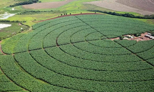 IC AGRO: Índice de Confiança do Agronegócio tem melhor resultado trimestral