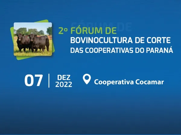 BOVINOCULTURA DE CORTE: Gestores e técnicos das cooperativas do PR vão debater fortalecimento do setor na quarta-feira, em Maringá 