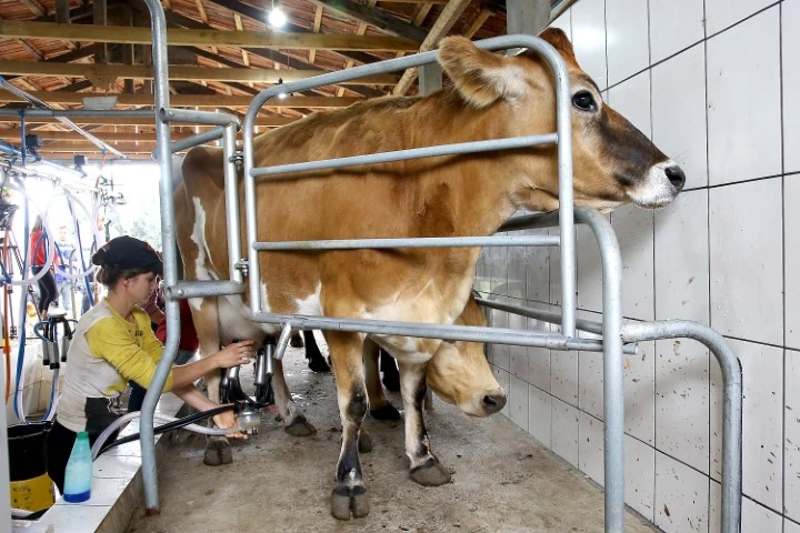 conjuntura agropecuaria 09 12 2022