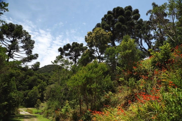 sustentabilidade 09 12 2022