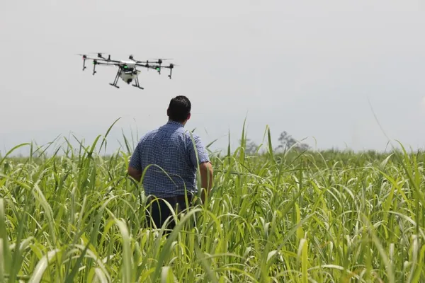 LEI 14.475/22: Sancionada a política de incentivo à agropecuária de precisão