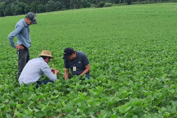 SOJA: Giro Técnico divulga boas práticas de cultivo a mais de mil produtores no Estado