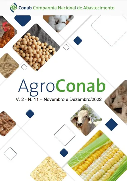AGROCONAB: Preços médios do boi gordo caem pelo quarto mês consecutivo