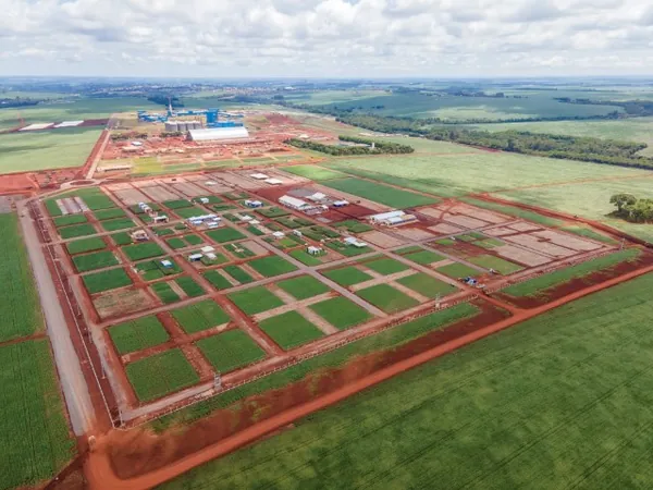 C.VALE: Falta uma semana para o Dia de Campo de Verão 