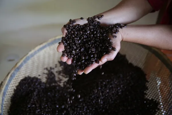 PORTARIA 570: Novo padrão para café torrado entra em vigor e indústria já está se preparando