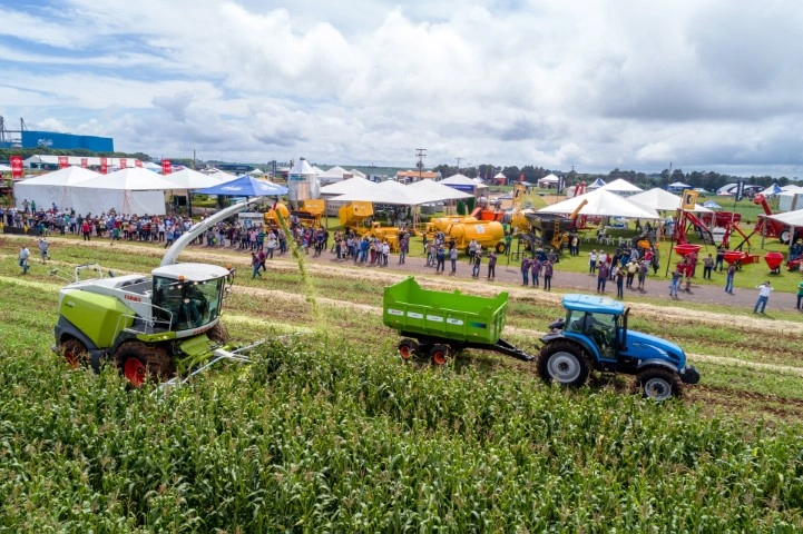 dias de campo 05 01 2023