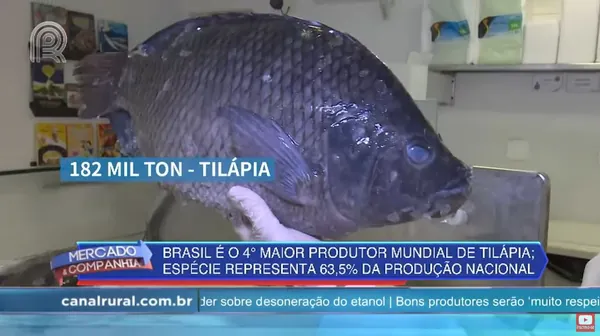 MÍDIA: Canal Rural destaca importância das cooperativas do PR em reportagem sobre produção de pescados 
