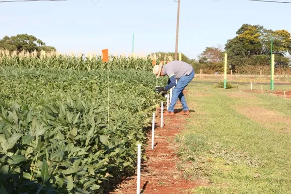 COPAGRIL: Dia de Campo, um show para o agronegócio