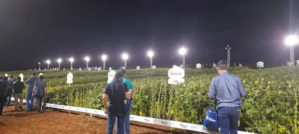 FRÍSIA: Cooperativa prepara Noite da Soja Sementes Batavo em Carambeí