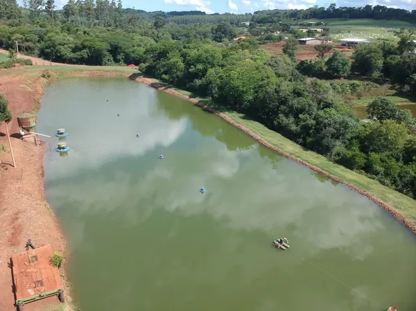 PSICULTURA: Copagril e Copacol firmam parceria para expandir produção de tilápias e participação no mercado