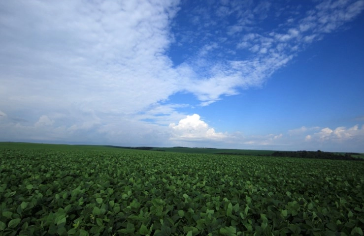 agricultura 31 01 2023