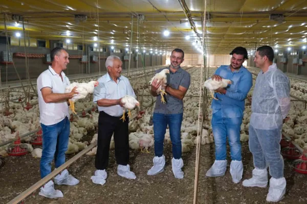DIVERSIFICAÇÃO: Família Ferreira fez parceria com a C.Vale para incrementar renda e permanecer no campo