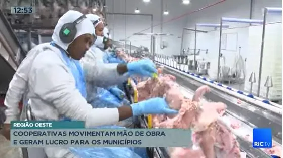 MÍDIA: RIC TV exibe reportagem que destaca a geração de empregos promovida pelas cooperativas