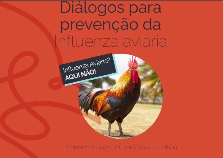 campanha 22 02 2023
