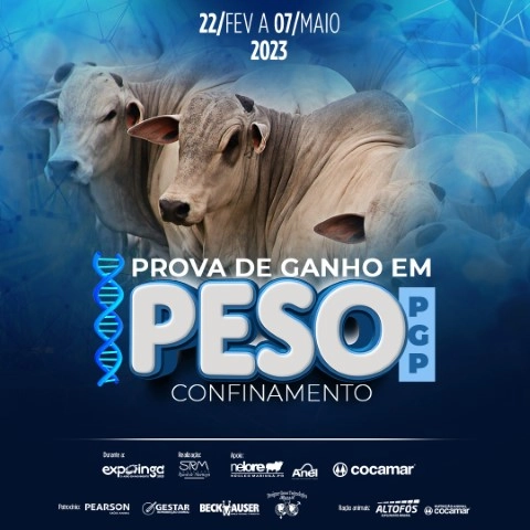 cocamar 09 03 2023