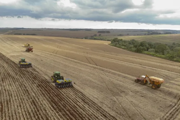 CONJUNTURA AGROPECUÁRIA: Paranaenses já colheram metade da área de soja e milho, principais produtos da safra de verão