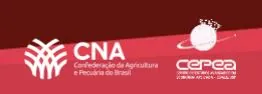 CEPEA:  Após recordes em 2020 e 2021, PIB do agro cai 4,22% em 2022