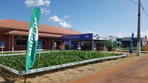 VITRINE DE TECNOLOGIAS: Embrapa lança três cultivares de soja na Tecnoshow