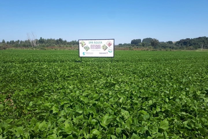 agricultura 22 03 2023