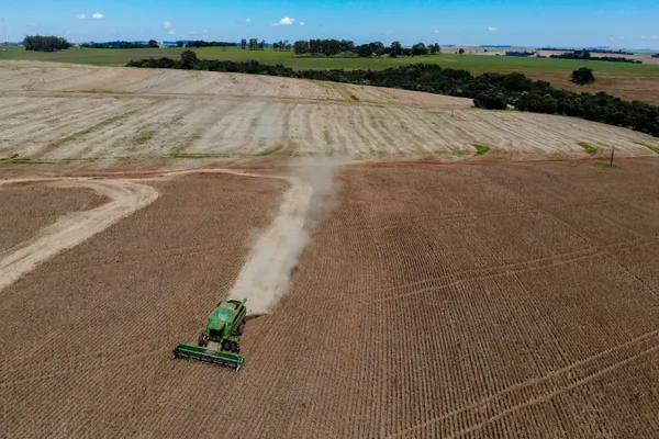 CONJUNTURA AGROPECUÁRIA: Colheita de feijão da primeira safra termina com boa qualidade no Paraná