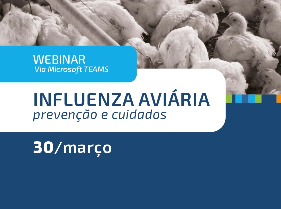 destaque webinar 27 03 23