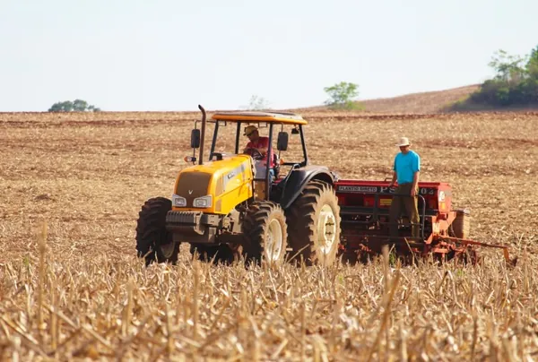 CEPEA: Com conjuntura favorável, população ocupada no agro é a maior desde 2015