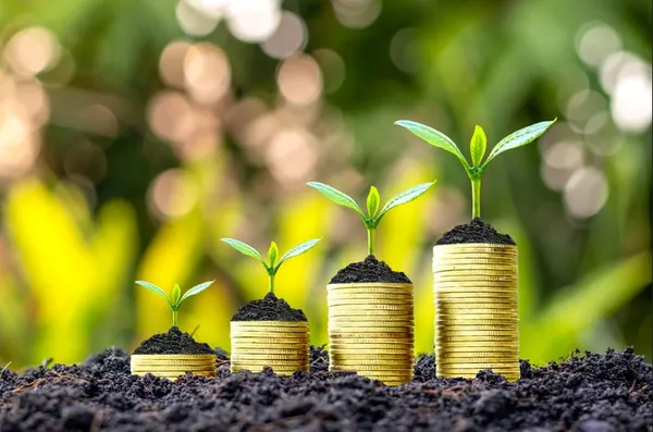CRÉDITO RURAL: Liberação no Plano Safra 2022/23 alcança R$ 267 bilhões em nove meses