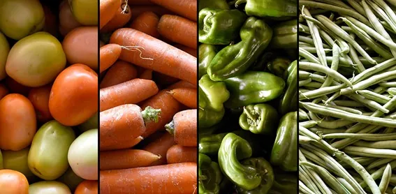 MERCADO: Estudo aponta dinâmica dos preços de commodities agrícolas e as perspectivas para os próximos meses