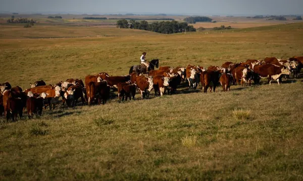 ECONOMIA II: Produto Interno Bruto cresce 2,5% em fevereiro