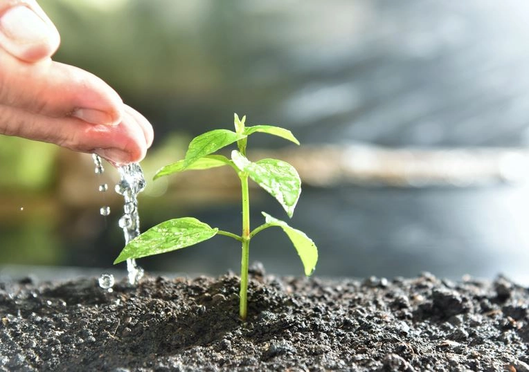 sustentabilidade destaque 05 05 2023