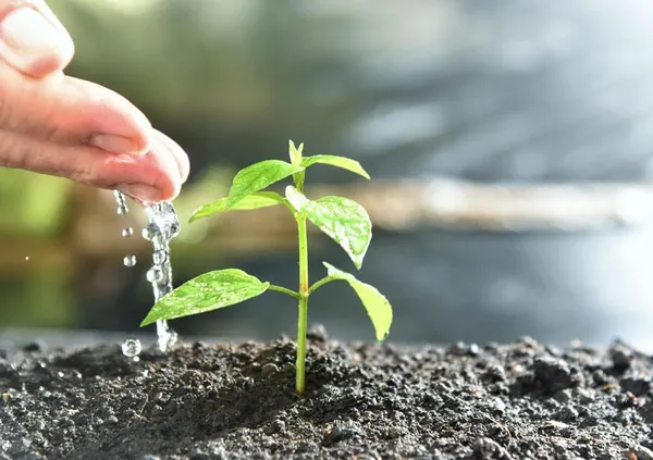 SUSTENTABILIDADE: Brasil moderniza procedimentos para registro de produtos biológicos
