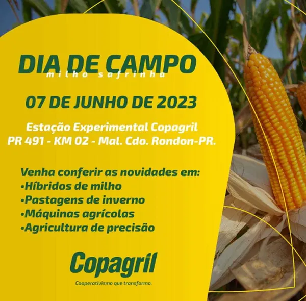 AGRO: Copagril promoverá Dia de Campo do Milho Safrinha no dia 7 de junho