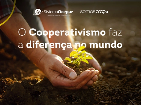 destaque meio ambiente 05 06 2023