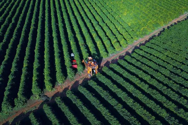 ABC+PR: Com Plano Estadual de Baixa Emissão de Carbono, sistema de agricultura do Paraná assume desafios ambientais