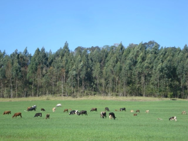 pra 07 06 2023