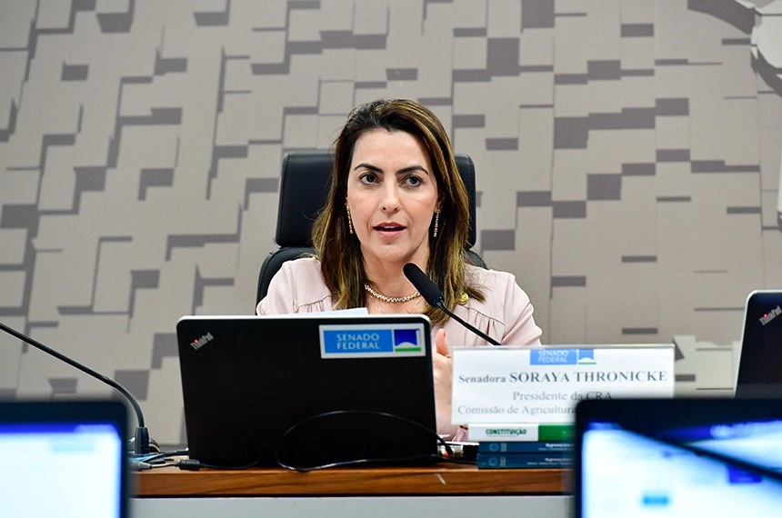 senado 09 06 2023