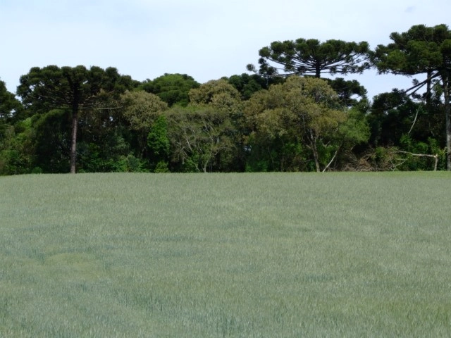 sistema ocb 13 06 2023