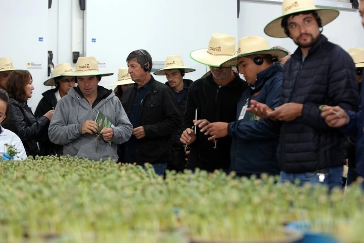 1coamo 16 06 2023