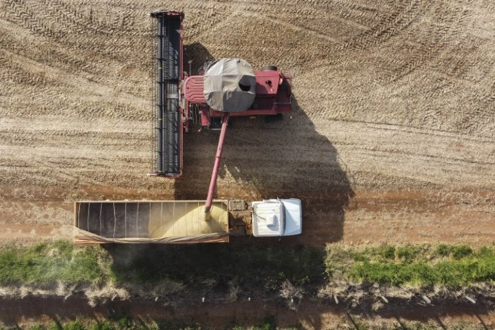 conjuntura agropecuaria 16 06 2023