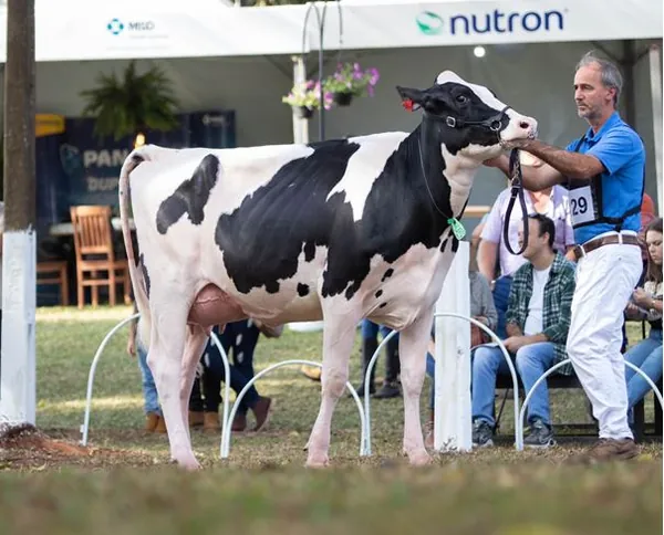 AGRO: Capal anuncia programação da 49ª Expoleite