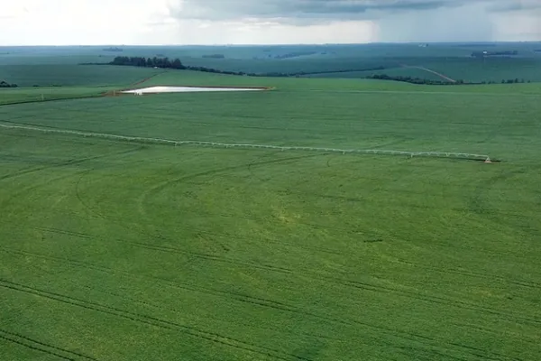 AGRICULTURA: IDR-Paraná alerta produtores de milho e cereais de inverno sobre atividade do El Niño