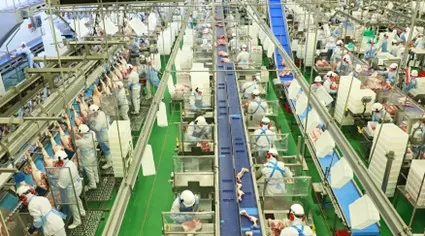 PIA 2021: Ocupação na indústria cresce 5,3%, mas não recupera perdas dos últimos dez anos