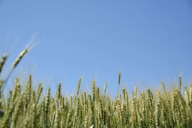 1agraria 11 07 2023