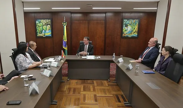 INFLUENZA AVIÁRIA: Retomada de exportações de frango de Santa Catarina para o Japão será debatida em missão do Mapa ao país asiático